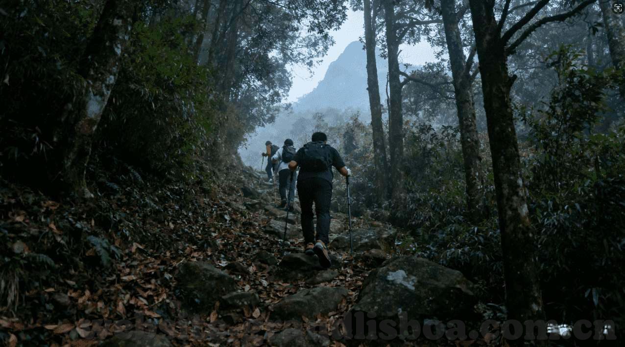 网上玩ag百家赢-网上玩AG百家赢，策略与心态的博弈